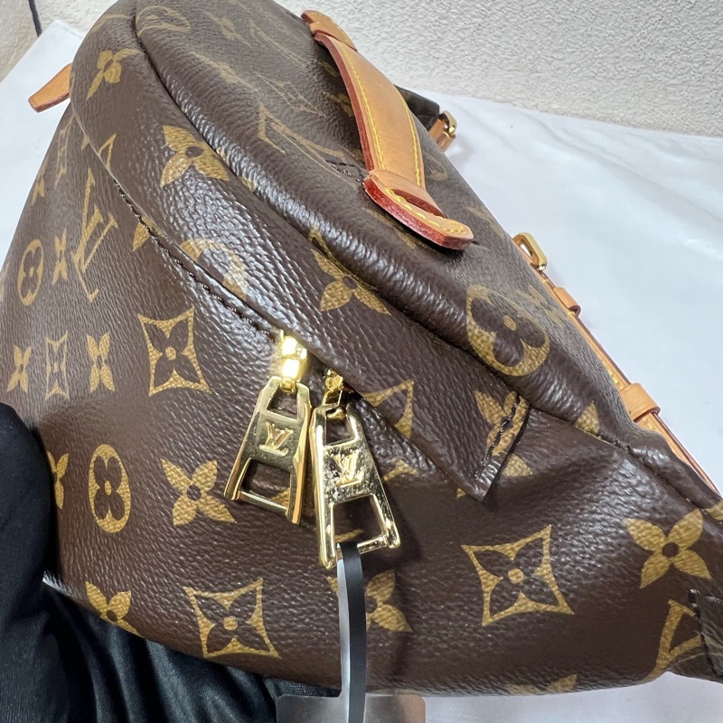 Louis Vuitton 路易威登 老花Bumbag腰包-2