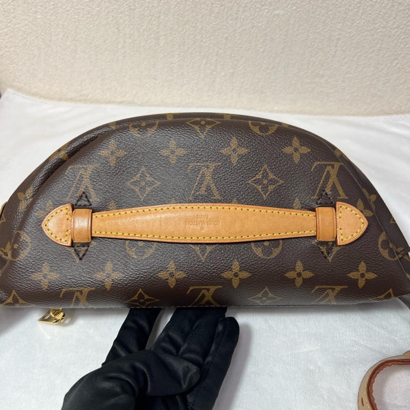 Louis Vuitton 路易威登 老花Bumbag腰包-13