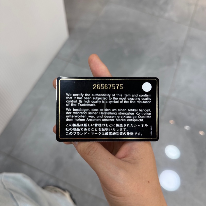 CHANEL 香奈儿 发财WOC链条包 粉色银扣羊皮-1