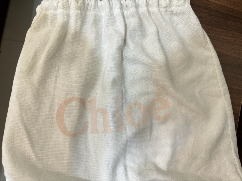 Chloé Drew Chain Shoulder Bag-5