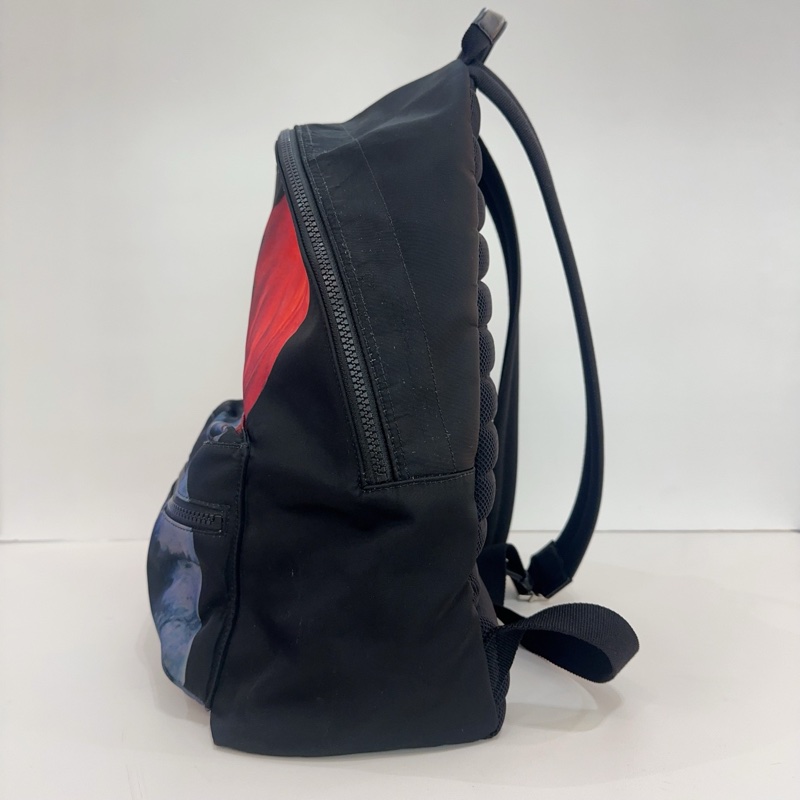 Dior • 18s限量款仲夏夜之歌尼龍後背包-5