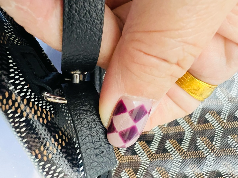 Goyard hobo包-15