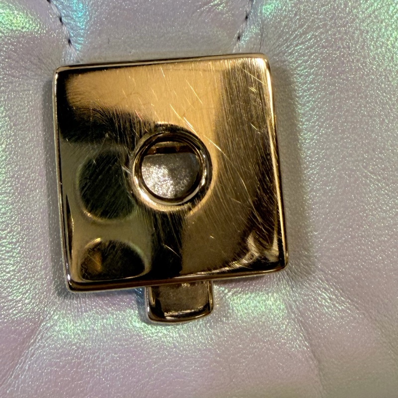 Gucci marmont 珠光羊皮鞋背包-57