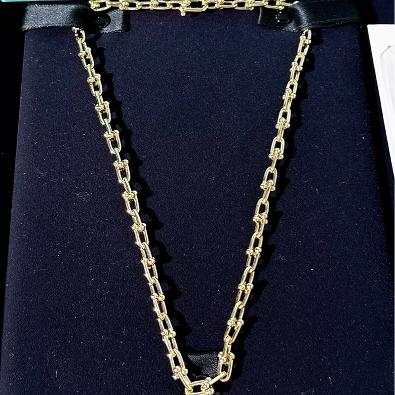 Tiffany 蒂芙尼 HardWear系列 小號鏈環項鍊,18k黃金-1