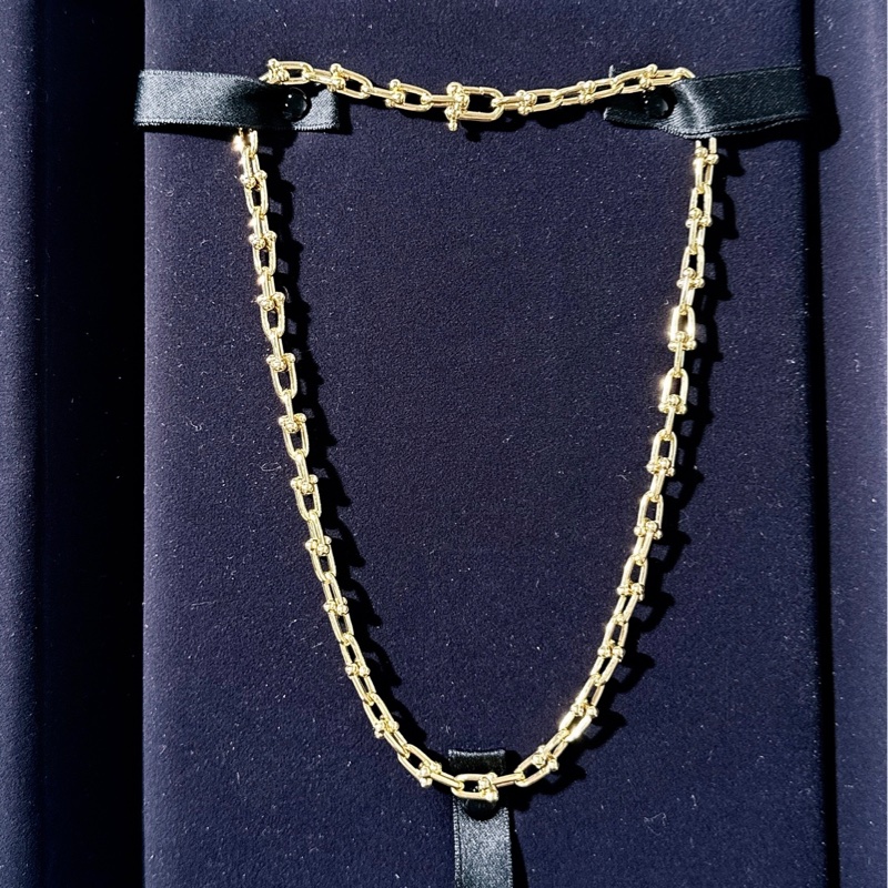 Tiffany 蒂芙尼 HardWear系列 小號鏈環項鍊,18k黃金-2