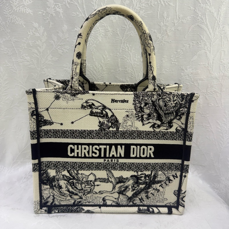 Dior Book Tote Small Bag-0