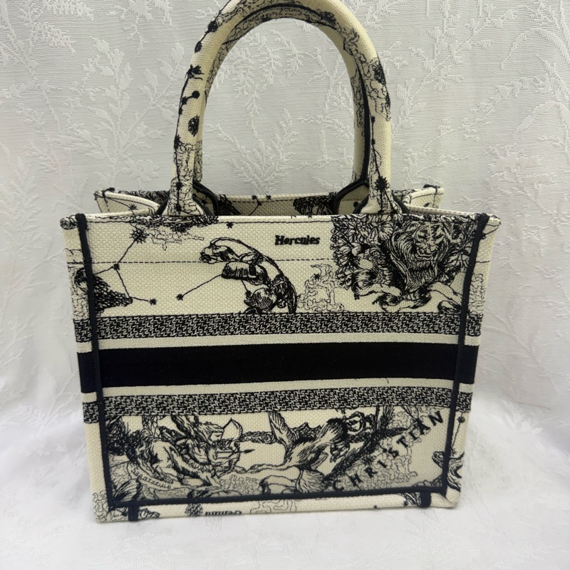 Dior Book Tote Small Bag-1