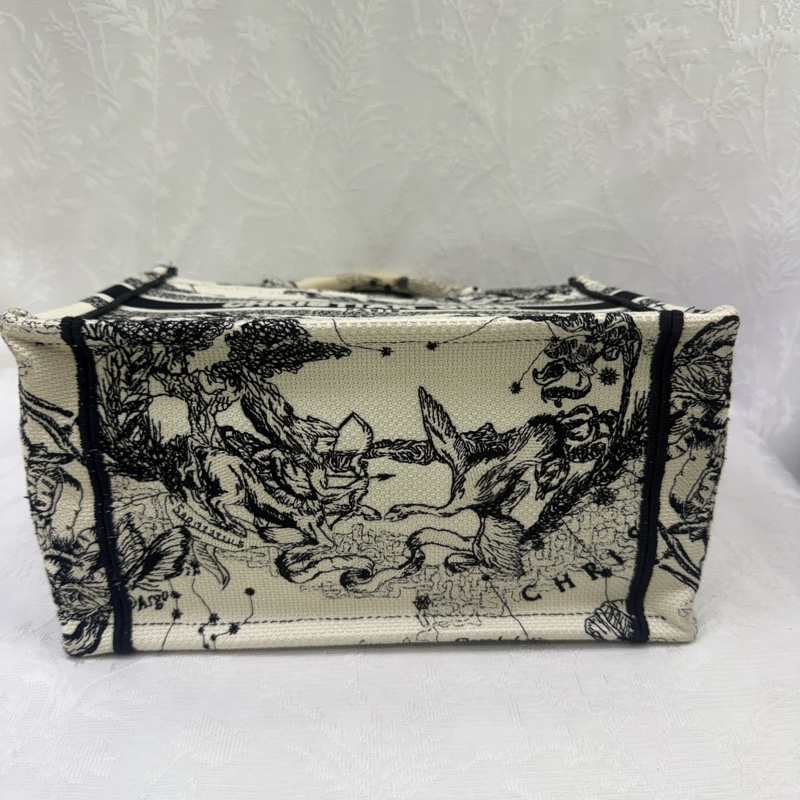 Dior Book Tote Small Bag-2