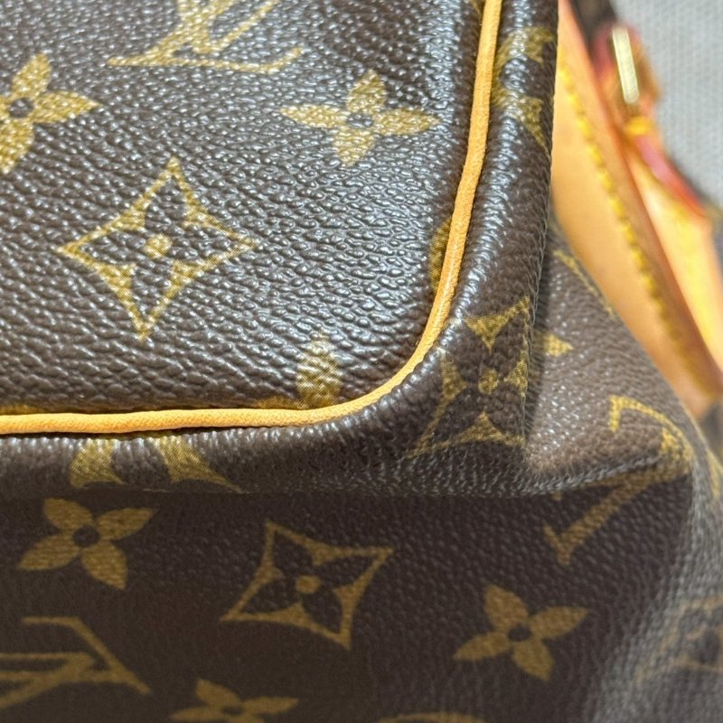 Louis Vuitton  Speedy 25-11