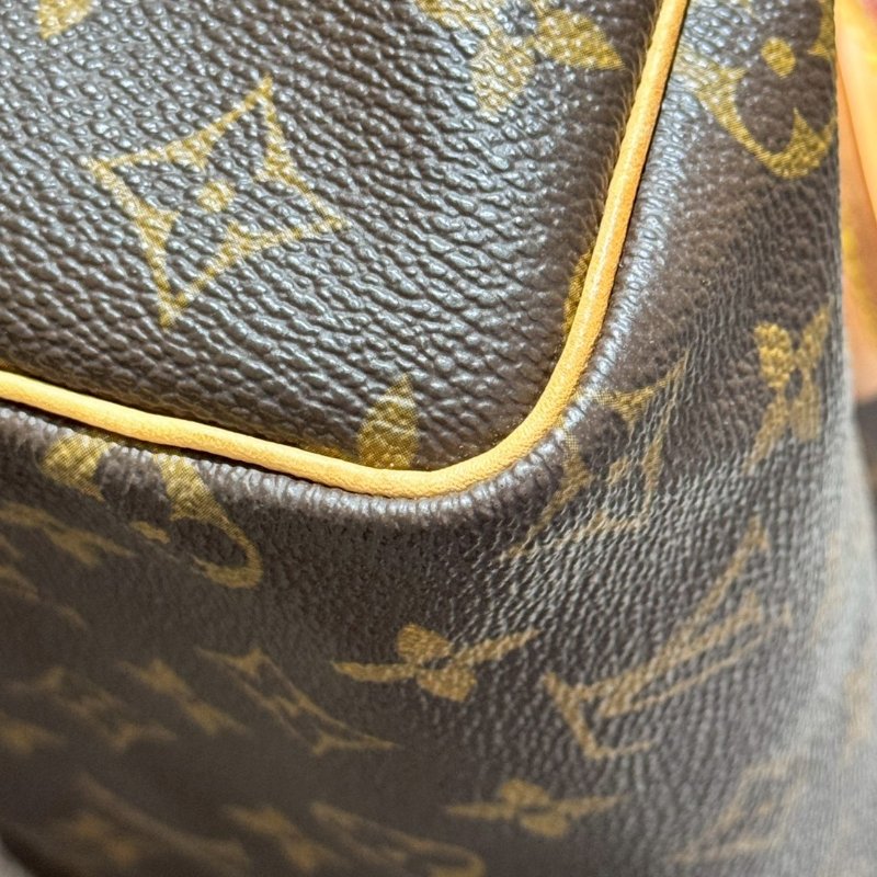 Louis Vuitton  Speedy 25-13