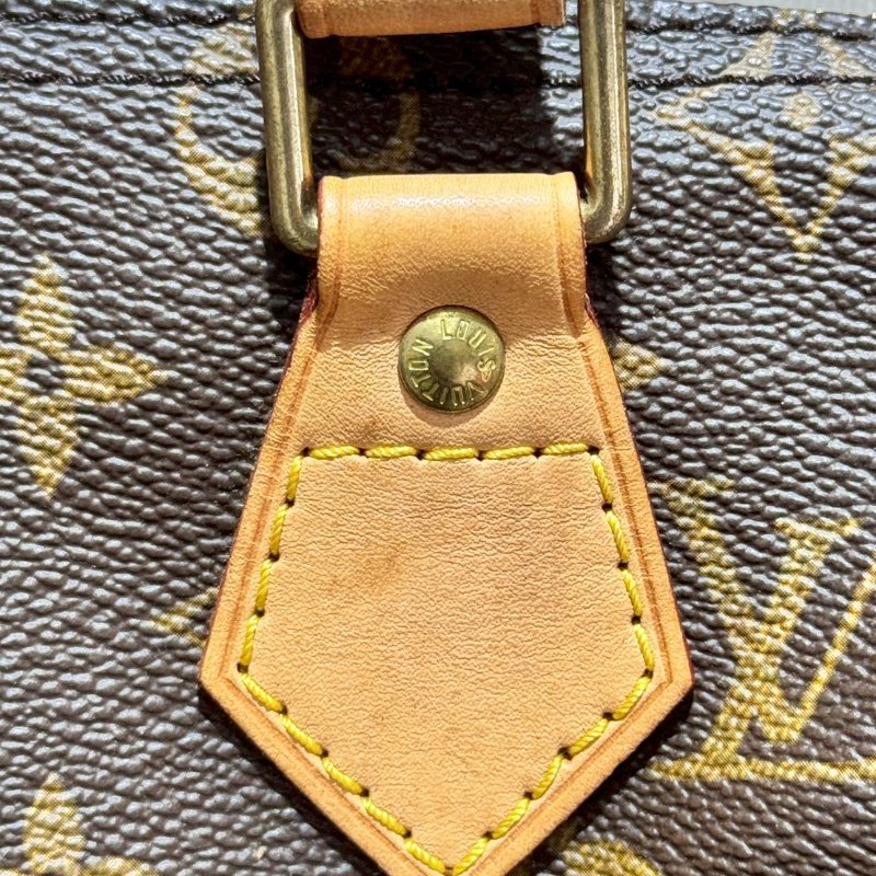 Louis Vuitton  Speedy 25-24