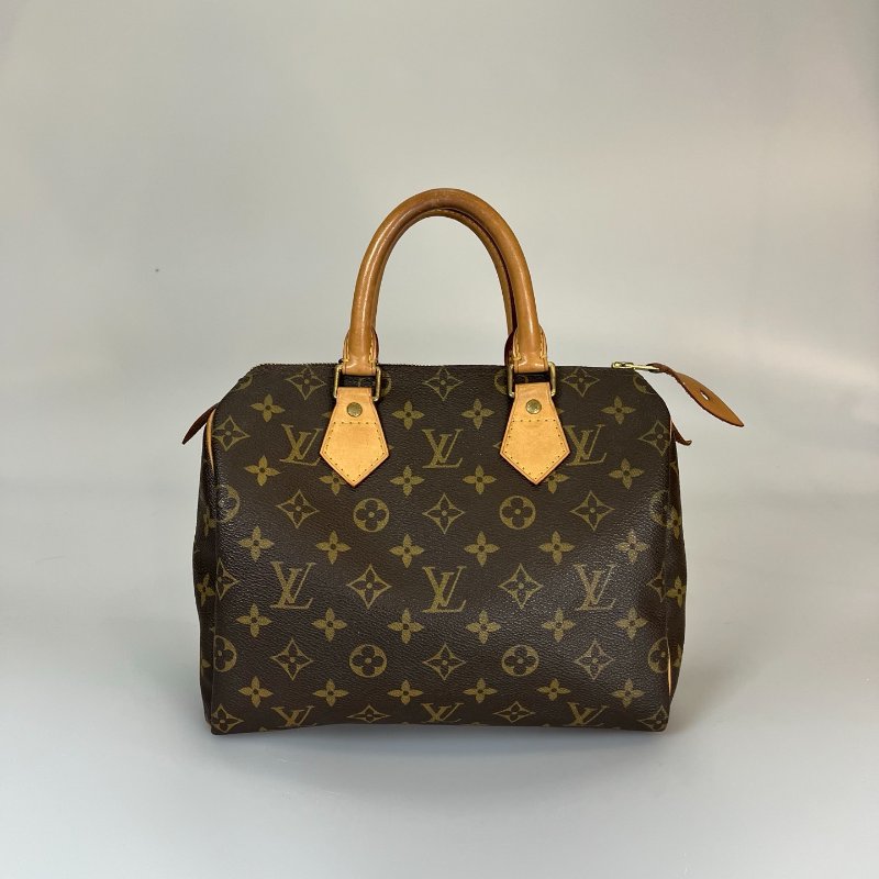 LV  老花SPEEDY25手提包-0