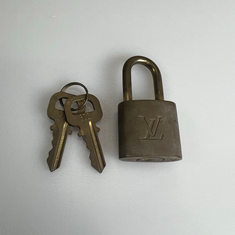 LV  老花SPEEDY25手提包-9