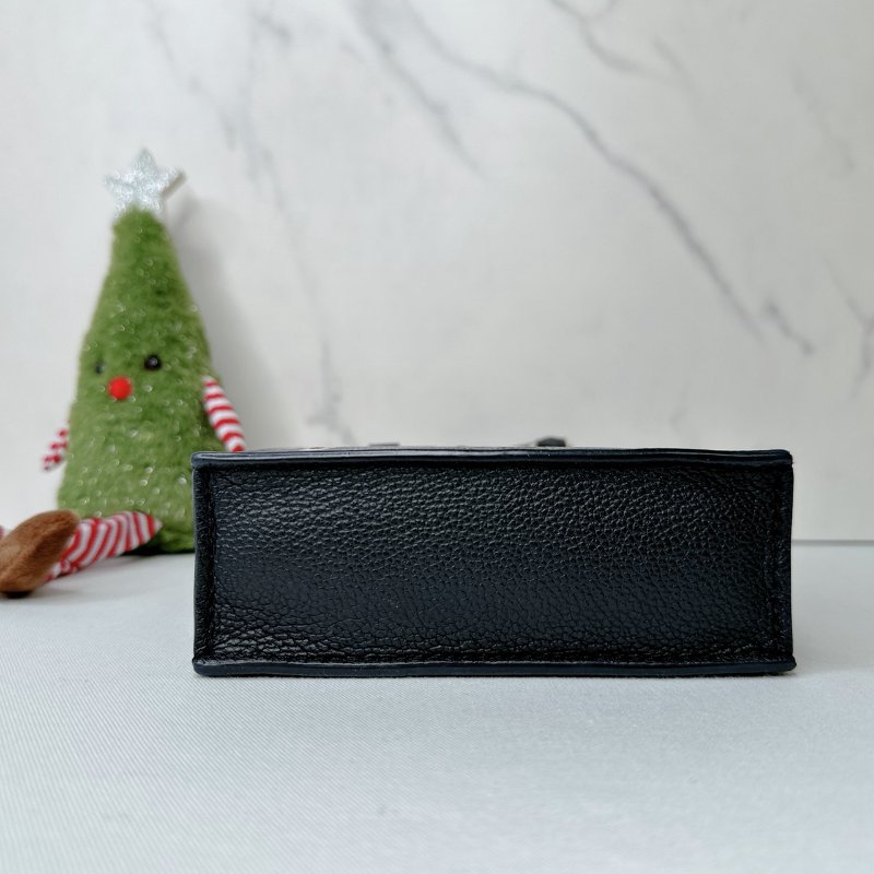 LV Petit Sac Plat琴譜包-5