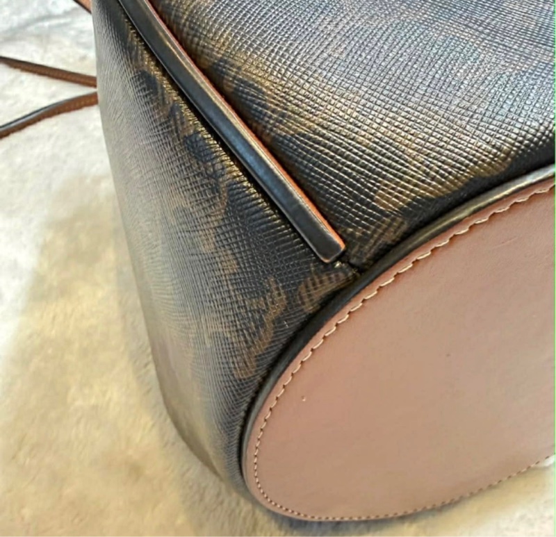 Celine Triomphe Canvas Marlou Bucket Bag（保留中-4