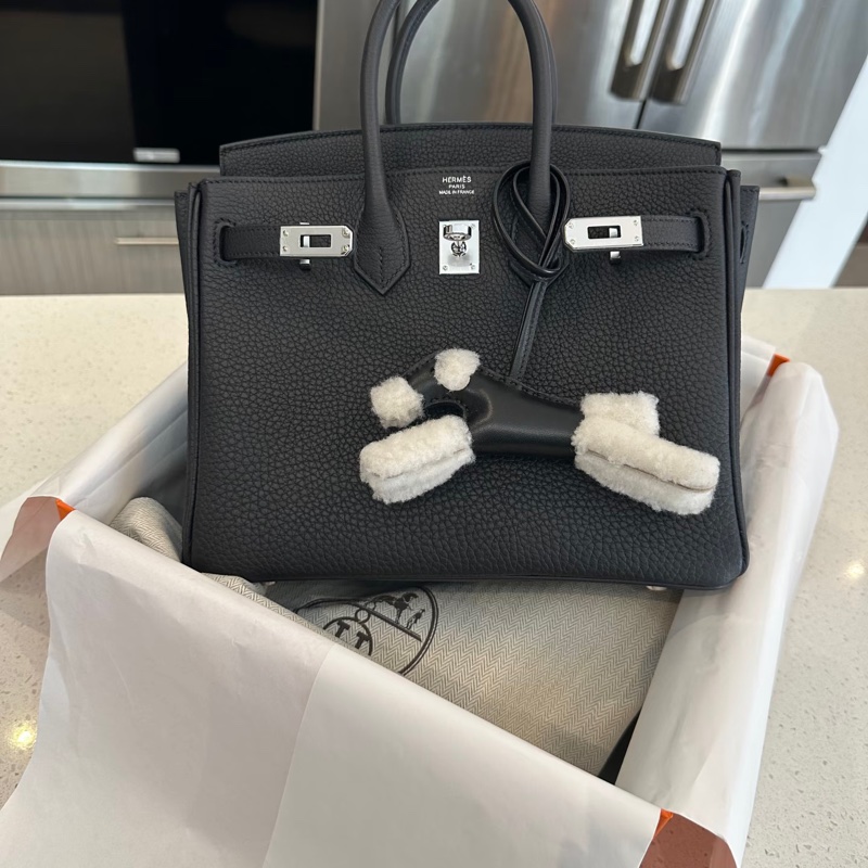 愛馬仕Hermes Budy-3