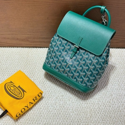 99新🆕Goyard/戈雅 Alpin mini二代綠色雙肩包小書包容量大自重輕，背法也可以隨意切換，實用與顏值兼具！❤️正品23編碼