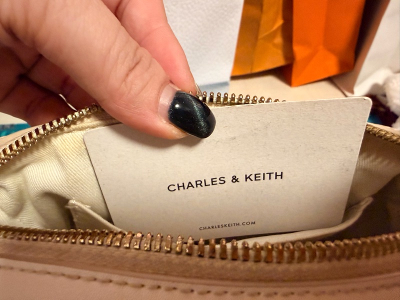 CHARLES & KEITH 白波士包 肩背包-9