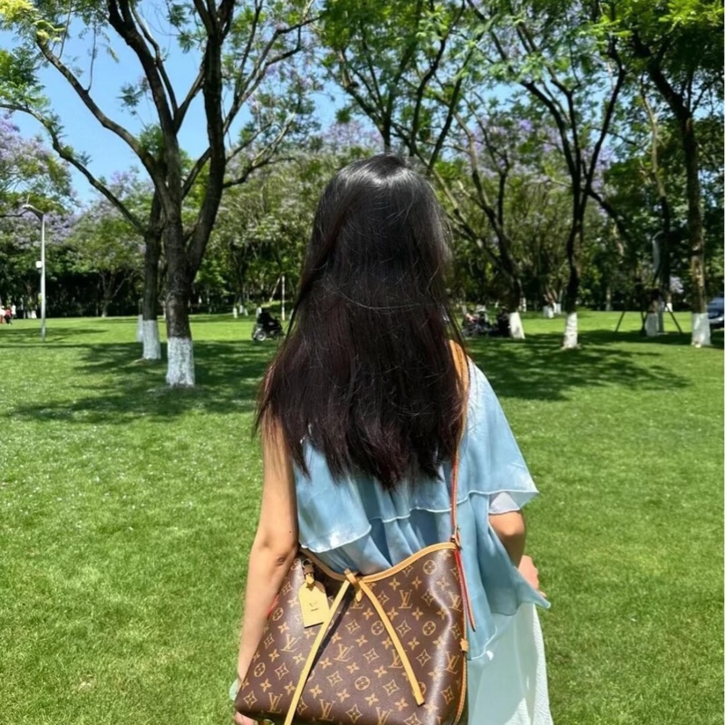 lv路易威登carryall小号老花芯片单肩包-8