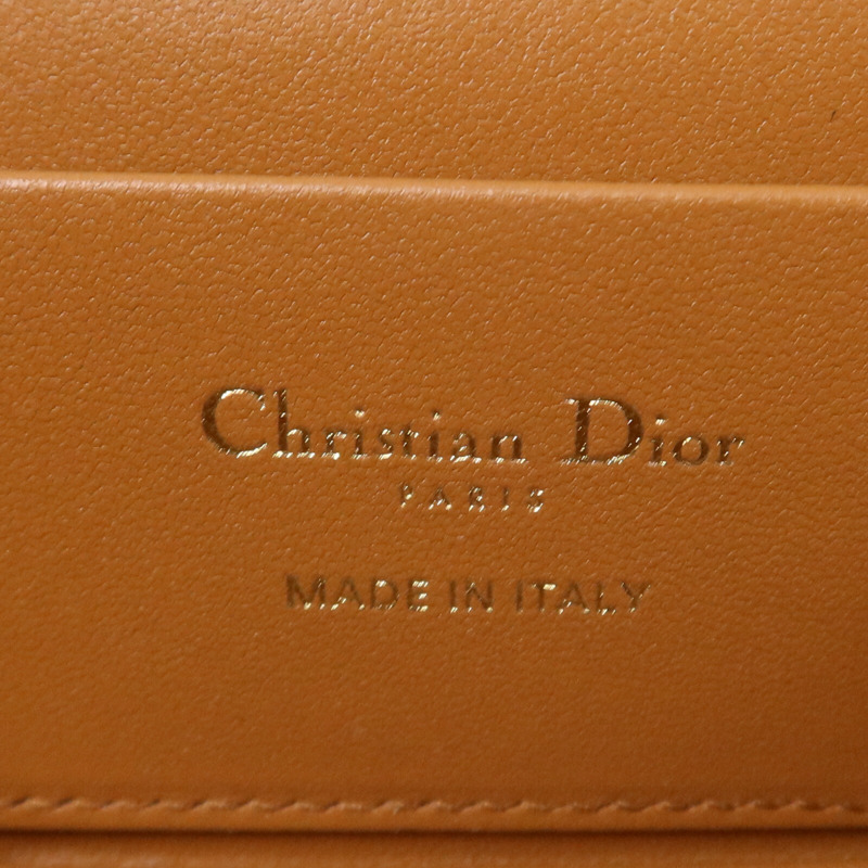 Dior Palm Leaf Vanity Case金扣手挽肩背兩用袋-5