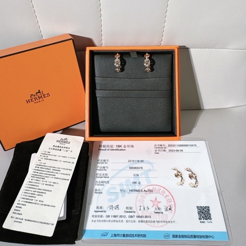 Hermes 愛馬仕Chaine d'Ancre Enchaîné 豬鼻子爬耳式耳環