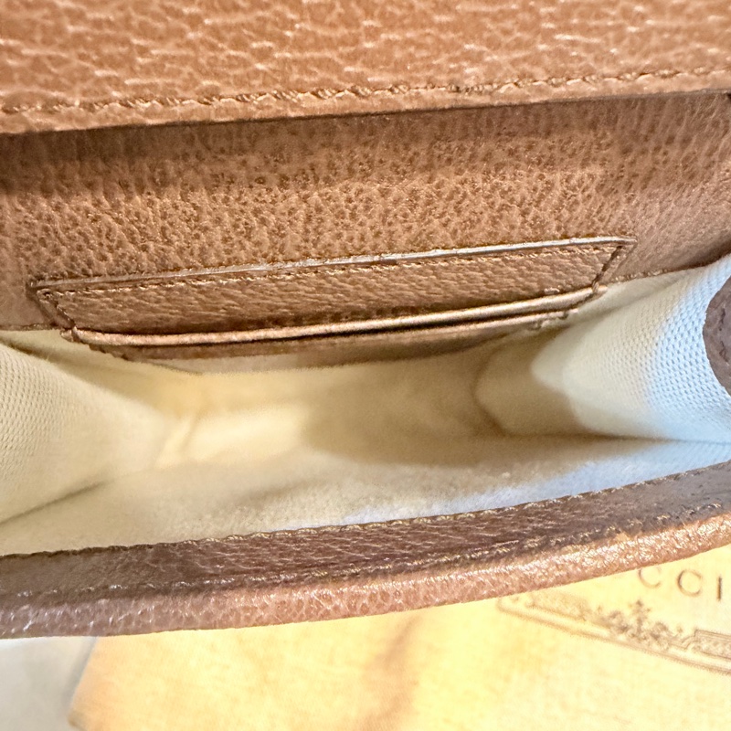 Gucci pvc 咖牛皮金釦ophidia 斜背包-17