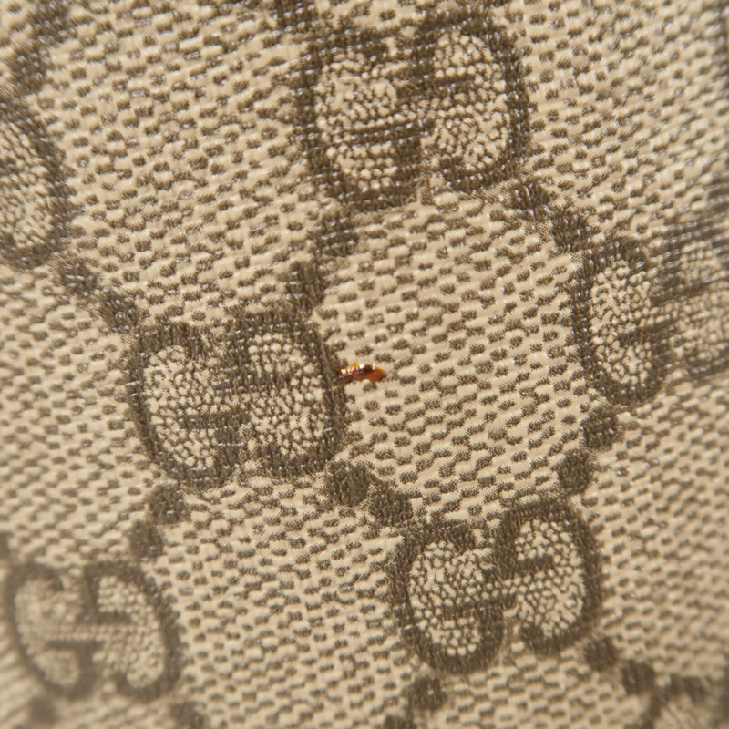 GUCCI 塗層帆布GG Supreme Backpack背包-17
