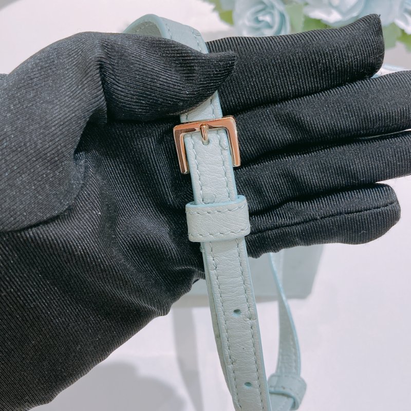 TW4870 Loro Piana 諾悠翻雅小號鴕鳥皮化妝肩帶包包 L19 Extra Pocket Ostrich Leather Blue x GHW-10