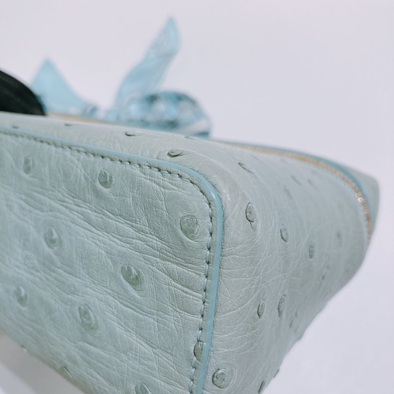 TW4870 Loro Piana 諾悠翻雅小號鴕鳥皮化妝肩帶包包 L19 Extra Pocket Ostrich Leather Blue x GHW-15