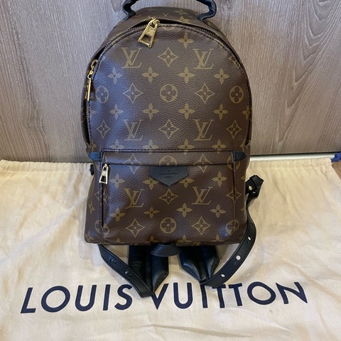 Louis Vuitton Palm Springs PM Backpack Full Set 初代舊版 後背包 M41560