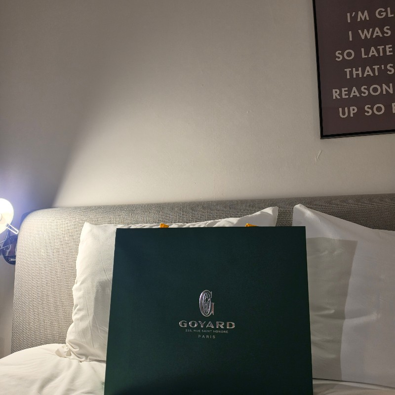 ✨️新款 Goyard
goyard anjou mini tote-2