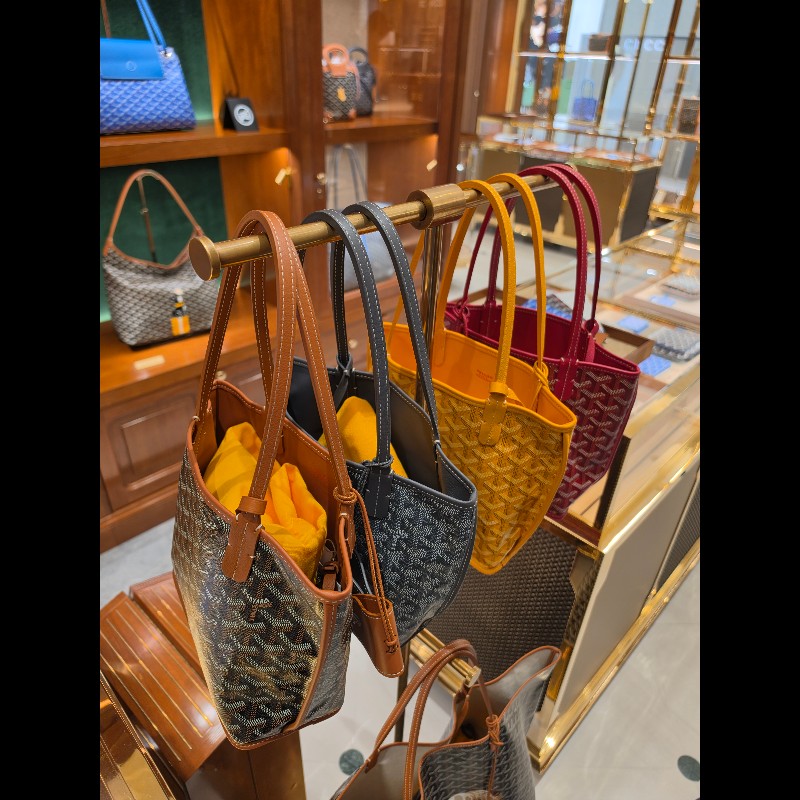 ✨️新款 Goyard
goyard anjou mini tote-4