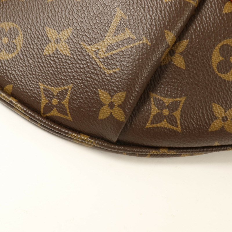 LOUIS VUITTON Monogram High Rise腰包-9