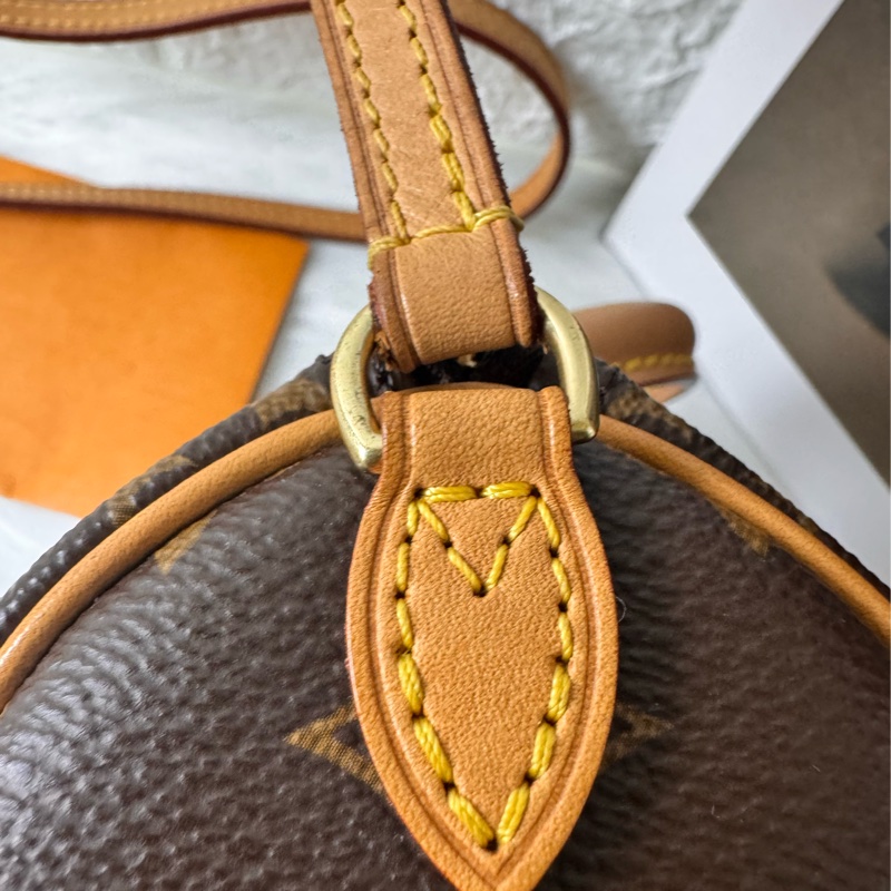 LV M61252經典NANO SPEEDY Monogram帆布印花手提/斜背包-9