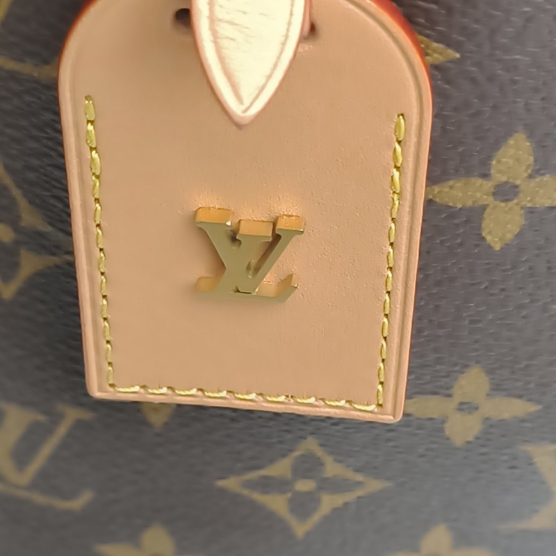 LOUIS VUITTON CARRYALL中號39配子袋老花PVC金扣晶片-4