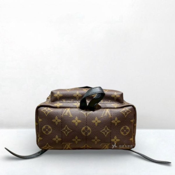 A12999-LV Palm Springs PM原花後背包M41560-4