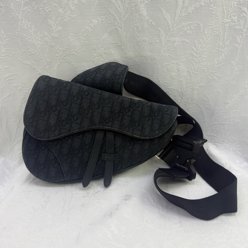 Dior Saddle Oblique Bag-0