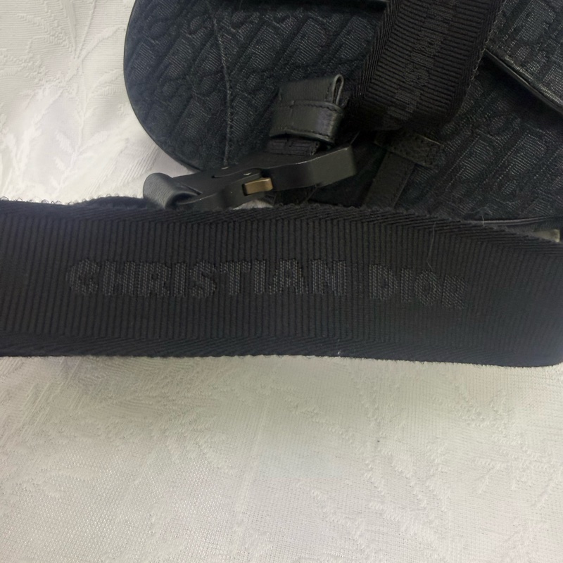 Dior Saddle Oblique Bag-1