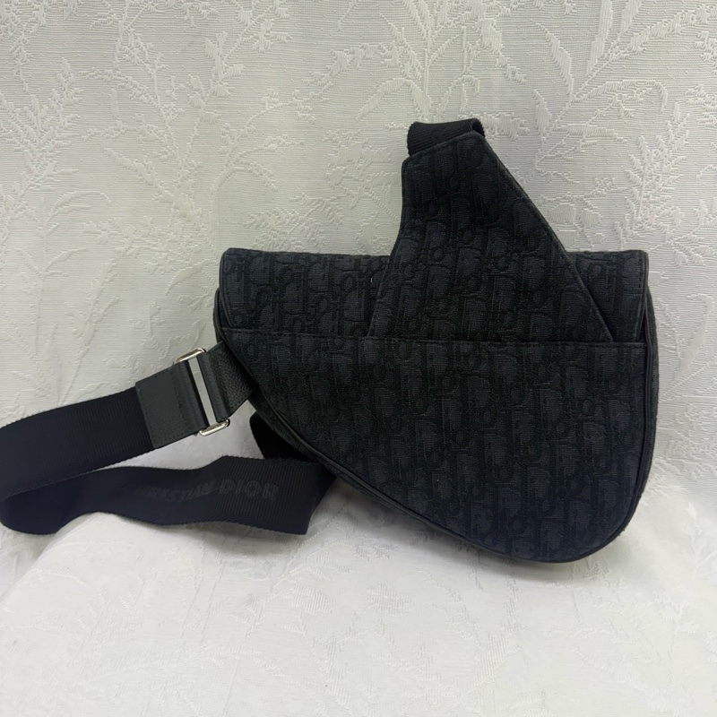 Dior Saddle Oblique Bag-2