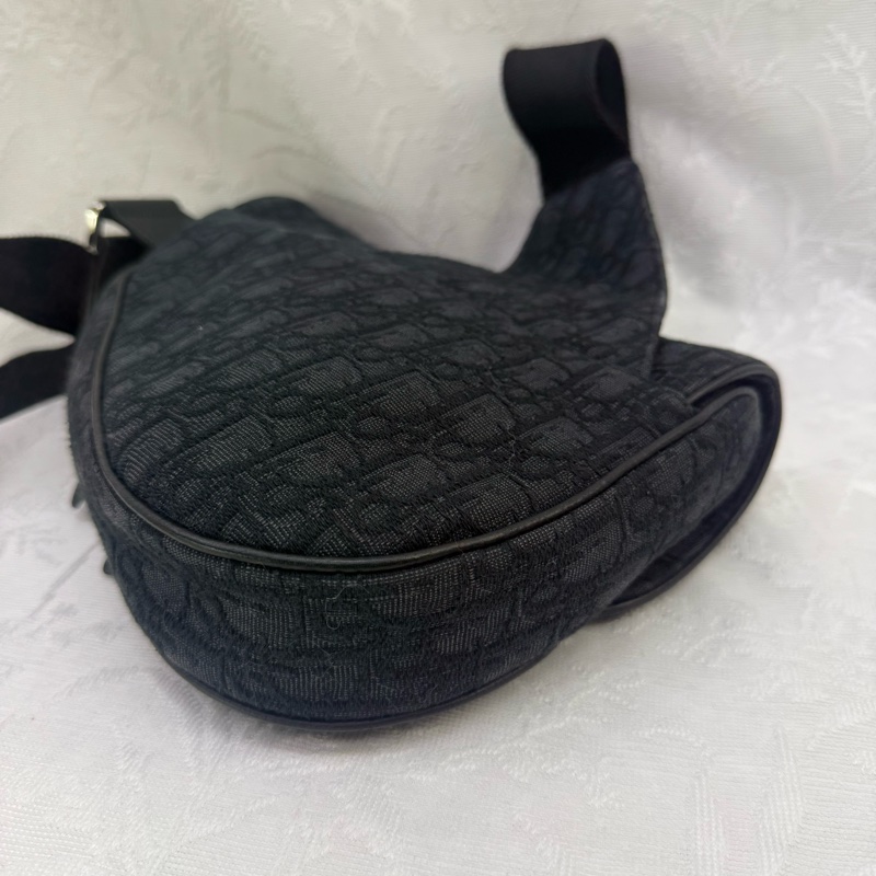 Dior Saddle Oblique Bag-6