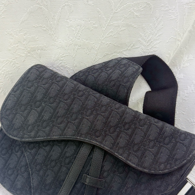 Dior Saddle Oblique Bag-9