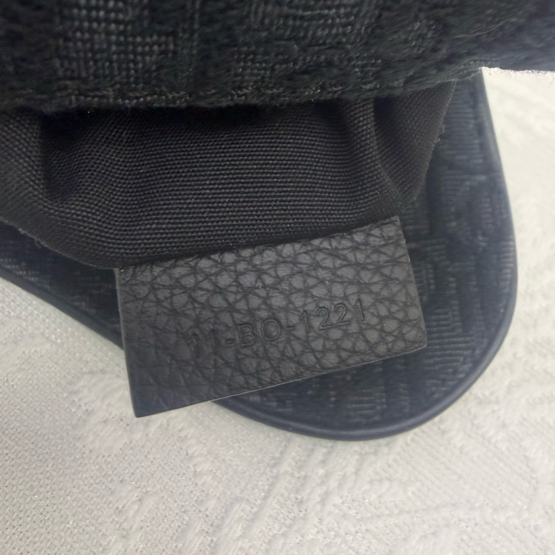 Dior Saddle Oblique Bag-15