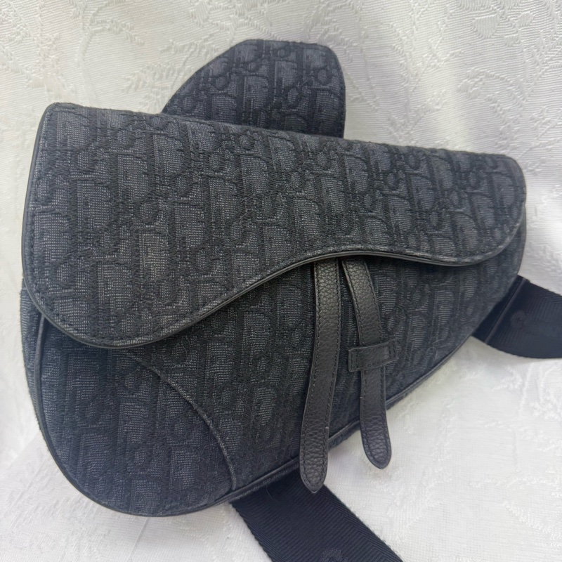 Dior Saddle Oblique Bag-19