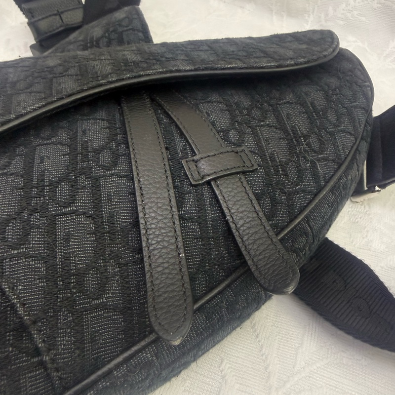 Dior Saddle Oblique Bag-20