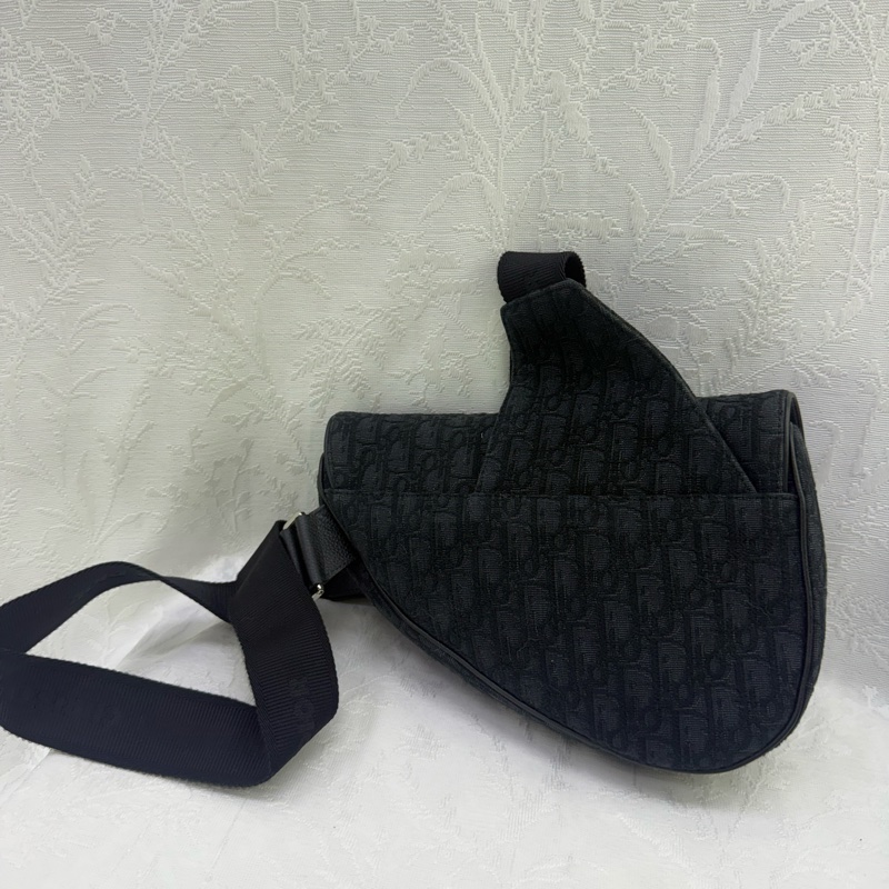 Dior Saddle Oblique Bag-23