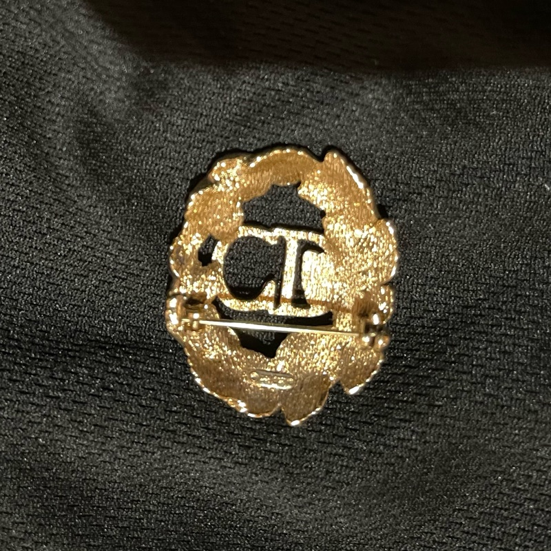 Christian Dior VINTAGE 金色CD樹葉水鑽胸針-3