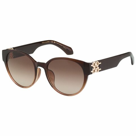 Salvatore Ferragamo 太陽眼鏡(咖啡漸變色)SF2095SLBK