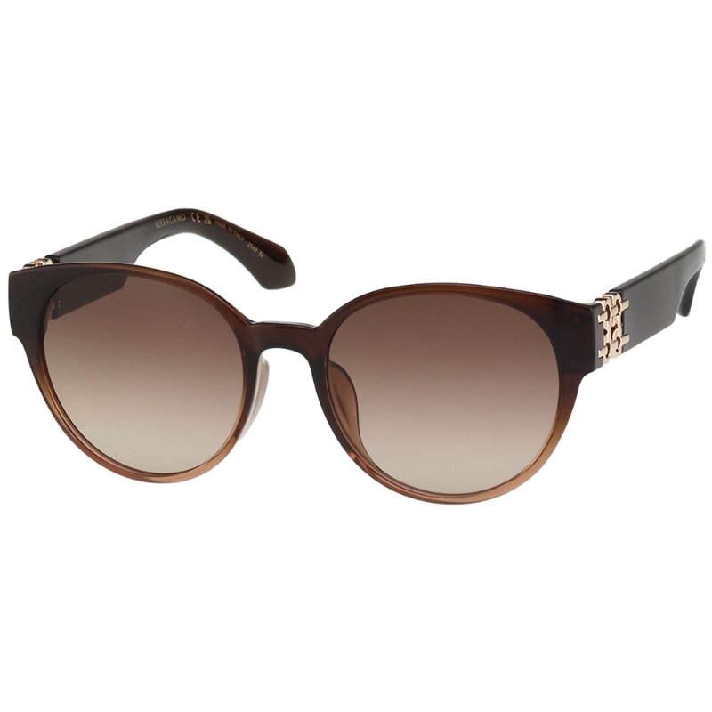 Salvatore Ferragamo 太陽眼鏡(咖啡漸變色)SF2095SLBK-2