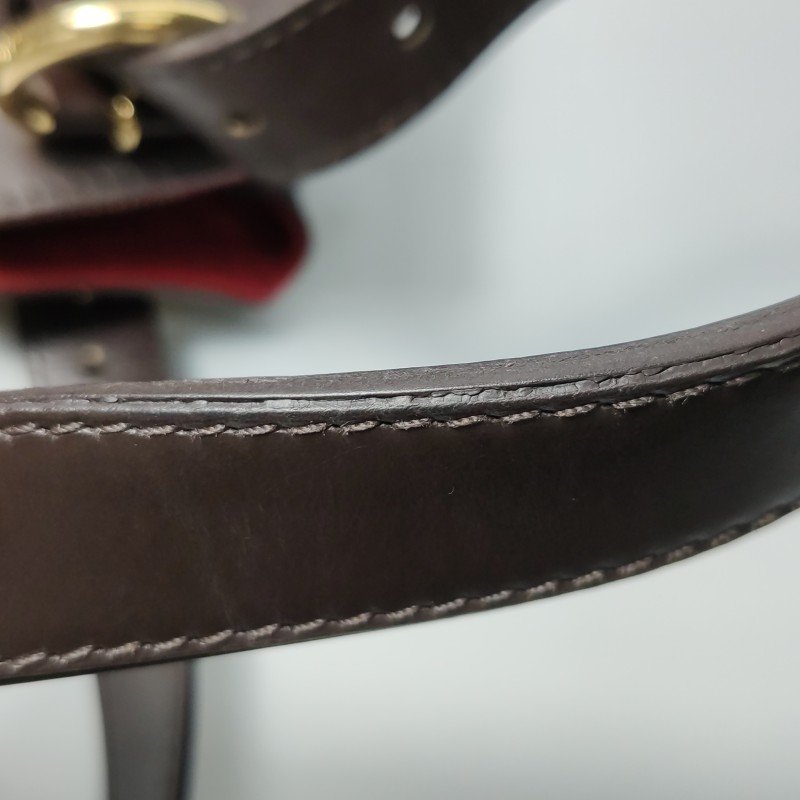 Louis Vuitton (LV) Sistina牛皮棋盤格推扣單肩包-11