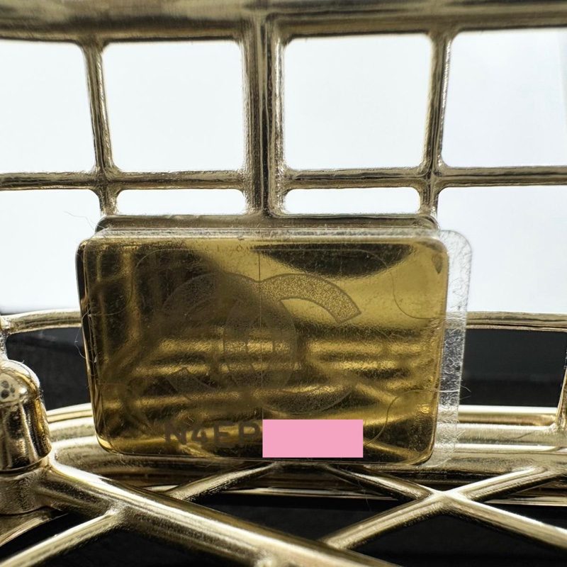 Chanel 2025 Rhinestone and Metal Embellishments Light Gold Birdcage Minaudière Bag-13